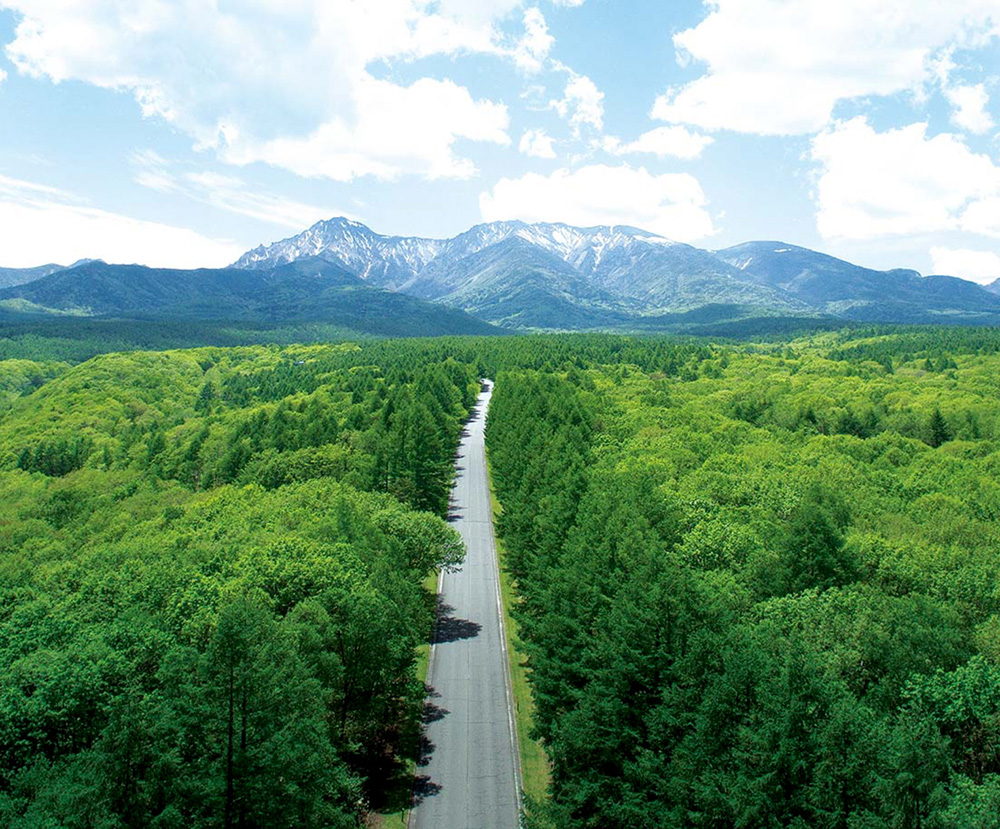 長野県八ヶ岳連峰 東山麓